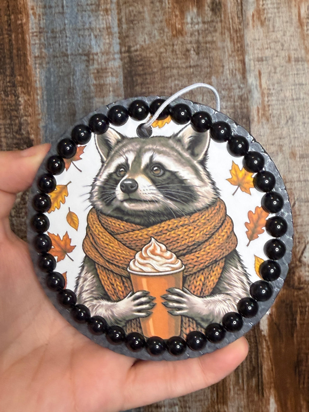 Cozy Fall Raccoon Car Freshie | Black Sea Scent