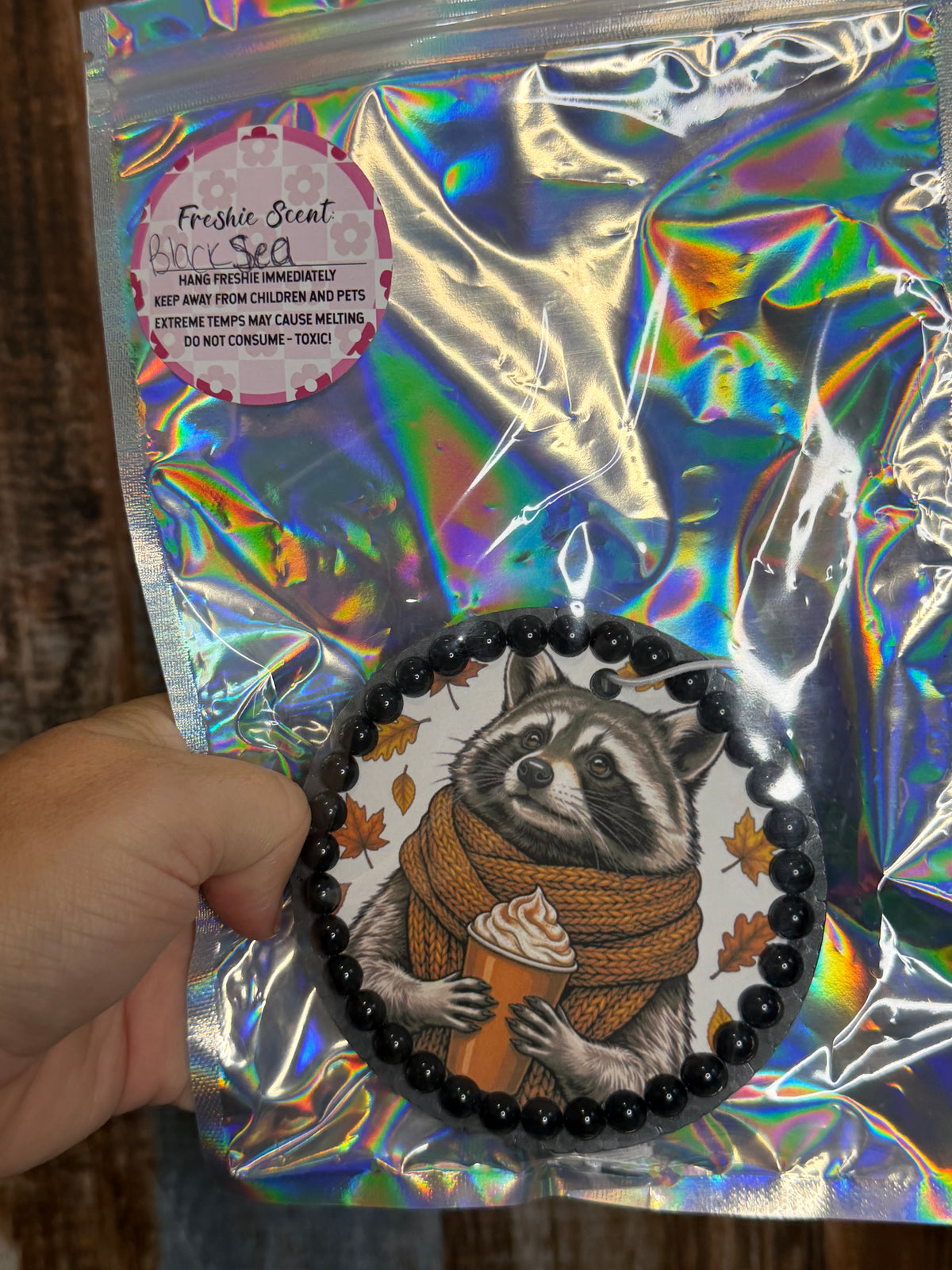 Cozy Fall Raccoon Car Freshie | Black Sea Scent