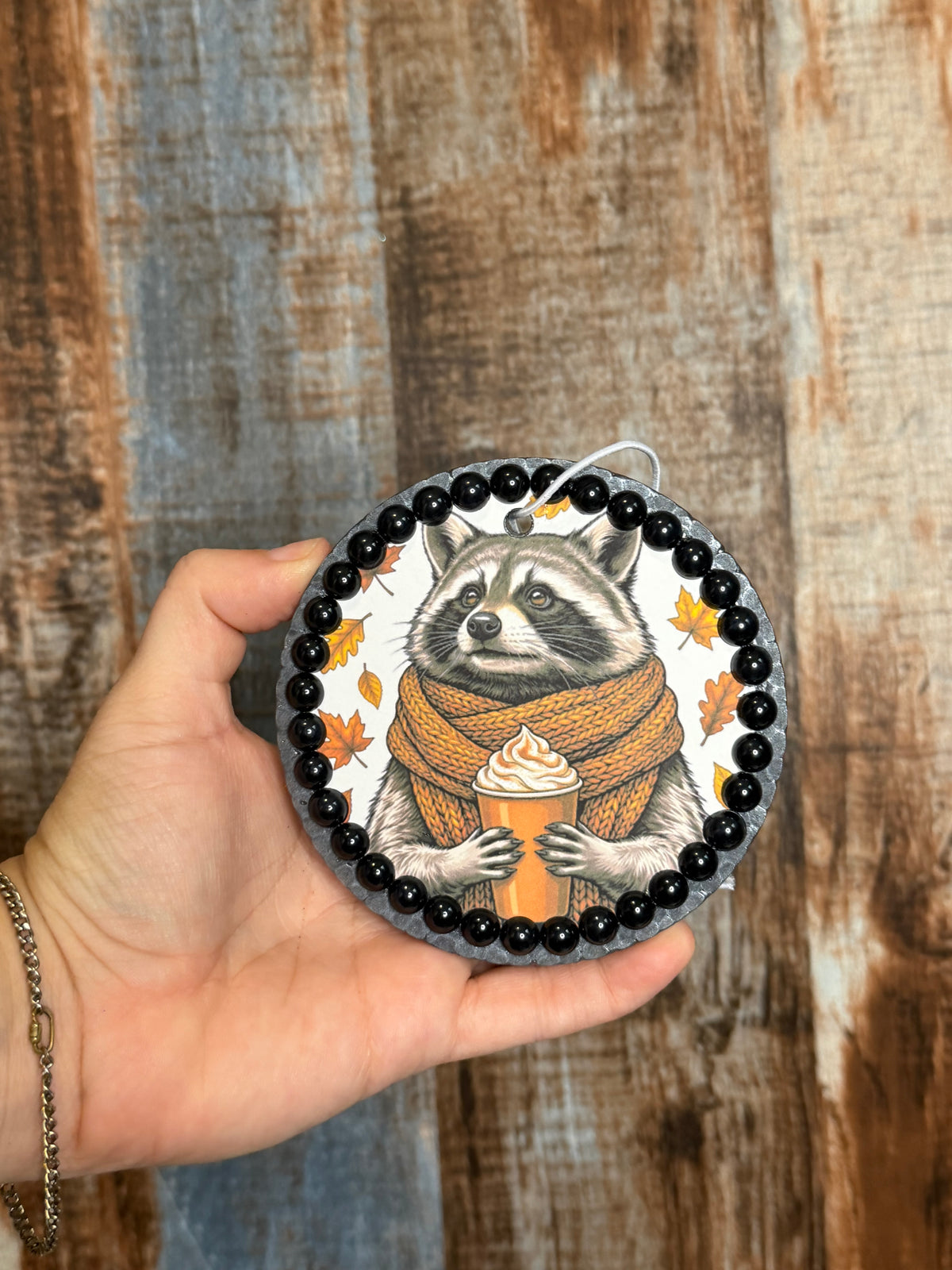 Cozy Fall Raccoon Car Freshie | Black Sea Scent